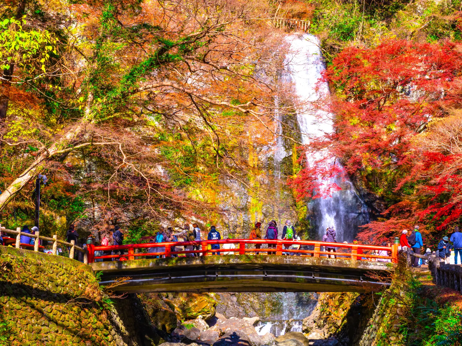 🍁 가을 한정: 미노 대폭포와 단풍놀이의 힐링 여행 cover