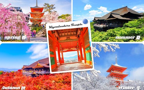 오사카 가족 하루 코스: 가이유칸 + 텐포잔 편안 루트 cover